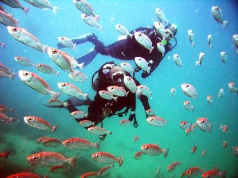 Caribe Brasileiro A 2 Passos Da Areia Daire Arraial do Cabo Dış mekan fotoğraf